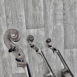 Schnecken von Cello, Bratsche und Geige